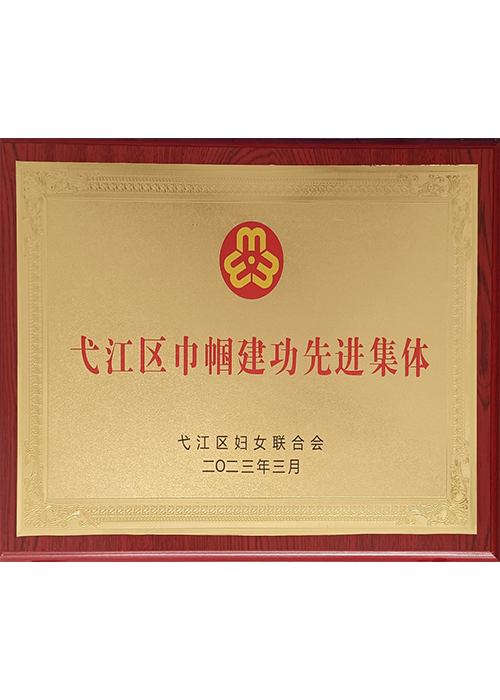 弋江區(qū)巾幗建功先進集體