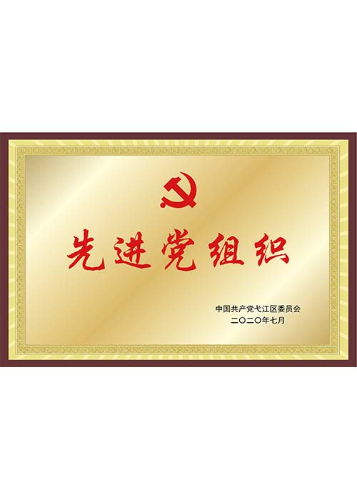 弋江區(qū)先進黨組織
