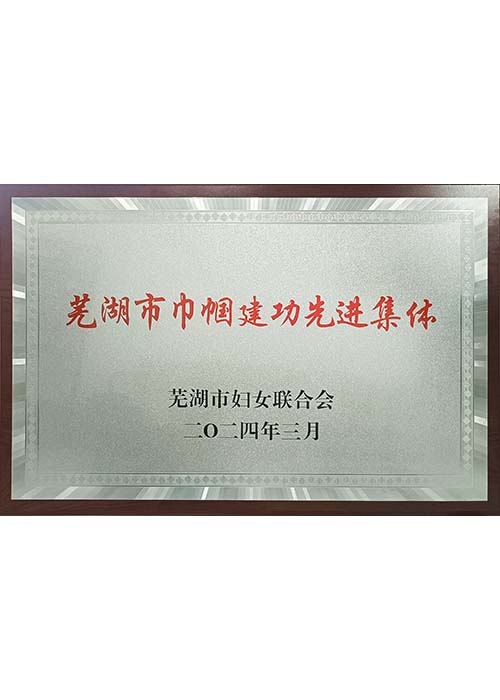 蕪湖市巾幗建功先進集體